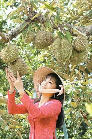 Mekong River delta’s internal force